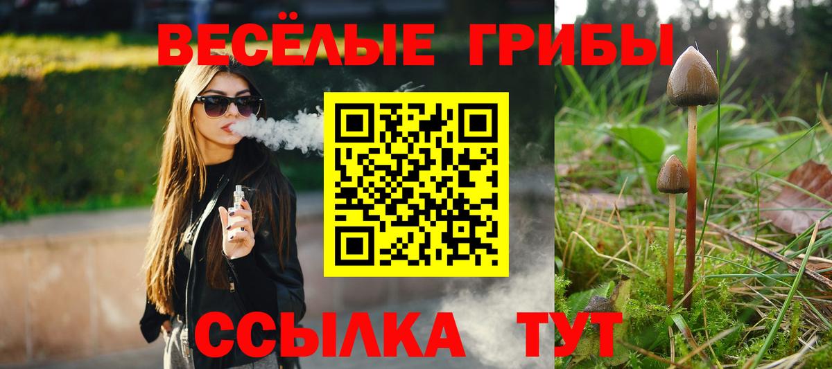 Псилоцибиновые грибы Psilocybe  Галлюциногенные грибы Magic Shrooms  Вход с VPN  Таганрог 